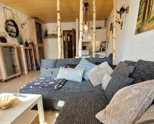 Harz-Hütte - schnuckelig FeWo in St. Andreasberg