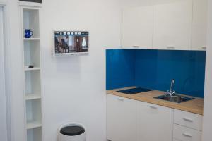 Studio room in Apartment Basioli
