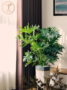 Armin Homes Ecopark Red Riverview Sky Oasis