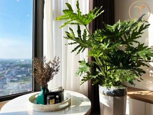 Armin Homes Ecopark Red Riverview Sky Oasis