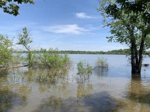Cozy Cottage • King Bed • Grove • Kayaks • Boat Parking
