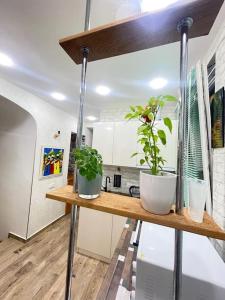 Unique Apartment in the Center of Tbilisi