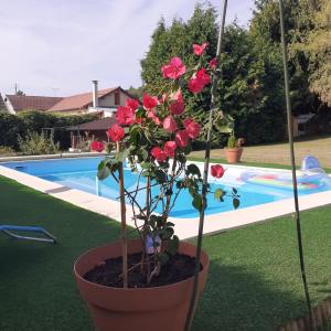 Sejours chez l'habitant o tour de l'eau : photos des chambres