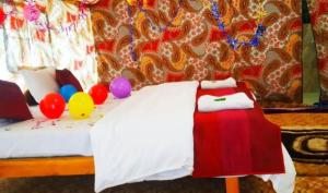 The Mountain Camp - Nubra