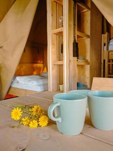 Safari Tent M - Camp La Belle Vie