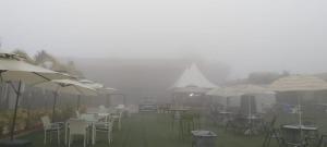 FOCUS CLUB AND RESORT