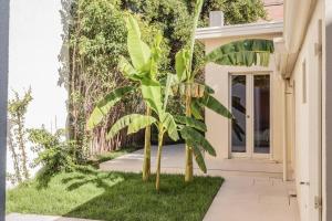 AmazHome - "Luxury & Design" oasi nel centro città