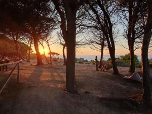 Casa al mare Sardegna img11