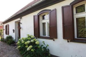 Oak House Nowy Dworek