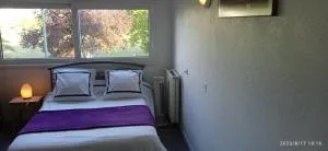 BELLEVUE - 塞讷塞迪容