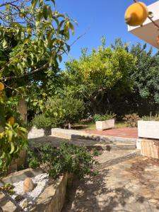 Villetta Regina img30