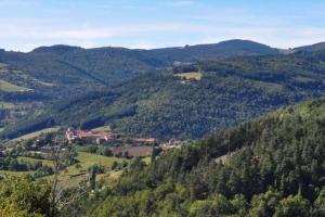 Maisons de vacances Maison de vacances en Ardeche : photos des chambres