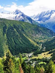 Appartements French Alps Luxury : photos des chambres