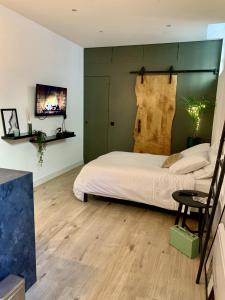 Appartements Tres jolie Studio Hyper Centre : photos des chambres