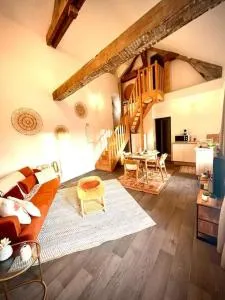 Logement insolite à Blois - Saint-Sulpice