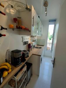 Appartements Bel appartement Paris Ouest sur cour proche metro : photos des chambres