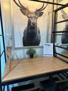 Air Residences Airbnb