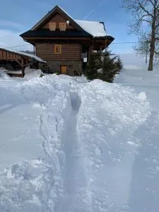 Chalupa Daniel - 兹蒂尔