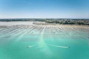 Maisons de vacances L'Abri Du Port / MRODBnB : photos des chambres