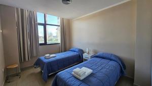 CONDOR Patagonia Aparts