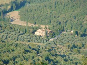 Agriturismo Borgo Del Senatore