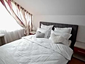 Vila Gloria ,Brașov