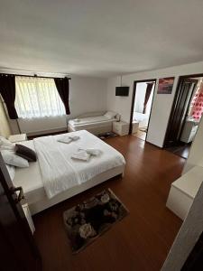 Two-Bedroom Apartment room in Casa Larisa