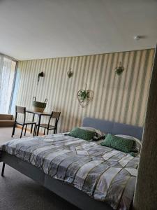 Appartements LE PANORAMA studio prive avec vue magnifique TURCKHEIM TROIS EPIS : photos des chambres