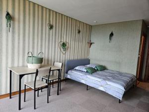 Appartements LE PANORAMA studio prive avec vue magnifique TURCKHEIM TROIS EPIS : photos des chambres