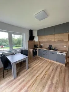 Apartmán Skis - Plánička