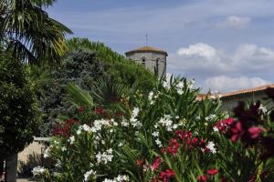 B&B / Chambres d'hotes Jardin d'arcy - chambres d'hotes avec piscine et SPA : photos des chambres