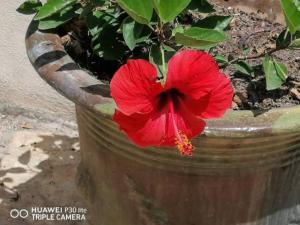 Studio dans villa proche de la plage