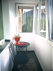 Modern Central Apartament