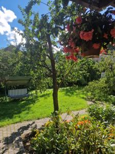 Boutigue city house with terrace and garden free parking