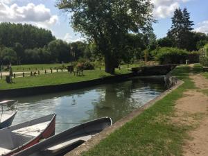 Maisons de vacances Swallows, Beautiful gite in the grounds of Chateau Beauvoir : photos des chambres