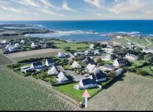 TY LOC POULFOEN - 普卢埃斯卡