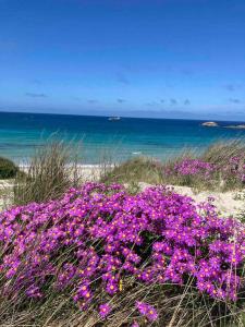 Maisons de vacances TY LOC POULFOEN : photos des chambres