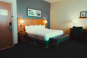 Standard Room, One King Bed room in Courtyard Aguadilla