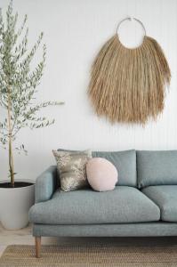 Pine at Arlos Glenelg South