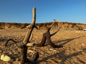 Appartements Appartement T2 superbe : photos des chambres
