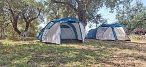 Olive Camping
