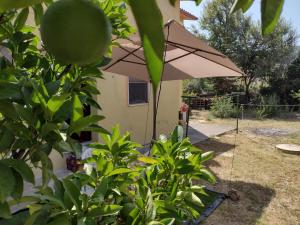 Sa domu de Peppinu img6