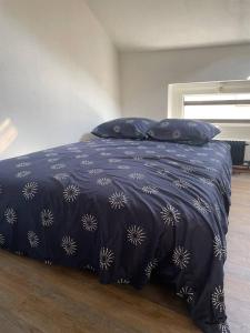 Appartements DUPLEX CENTRE VILLE : photos des chambres