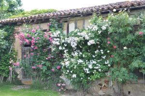 B&B / Chambres d'hotes Domaine de Paguy : photos des chambres