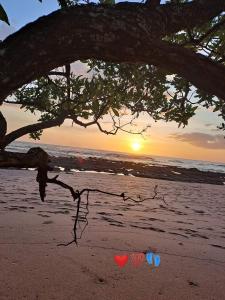 EcoVillas Las Melinas