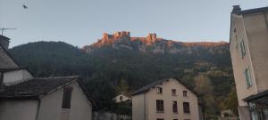 Grande Maison Jardin Cours centre Ville Florac