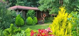 Przystań Bosmanat - Wierzchowo