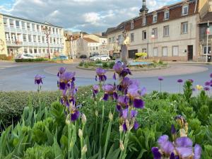 Appartements Les Jardins Tropicaux Duplex : photos des chambres