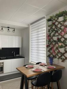 Black & White Harmony