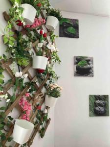 Black & White Harmony